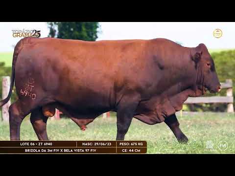 LOTE 06 - ZT 6940