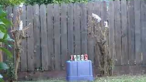 JG M4 S-System 2009 Enhanced Version Accuracy and Power Test