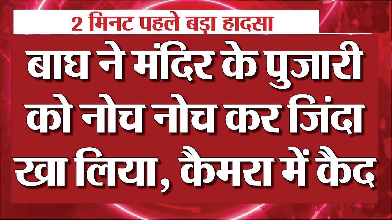 Ranthambore Tiger Attack: किले में आधी रात को बाघिन का खौफनाक हमला! 😱 | Ranthambore News