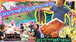 EP.143 ซื้อปลาเทร้าท์ตัวใหญ่มาทำอาหารไทย"ปลาทอดยำมะม่วง"แวะเที่ยวน้ำตก และพาขึ้นเขาปิกนิกสนุกมากก
