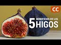 5 Beneficios de los Higos | Ciencia de la Comida