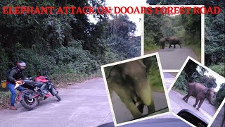 Elephant attack on Dooars forest road...