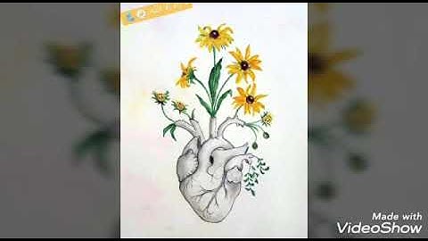 سورة الشعراء للقارئ محمد سلامة ♥️