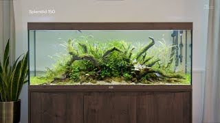 The best aquarium for your home - advertising