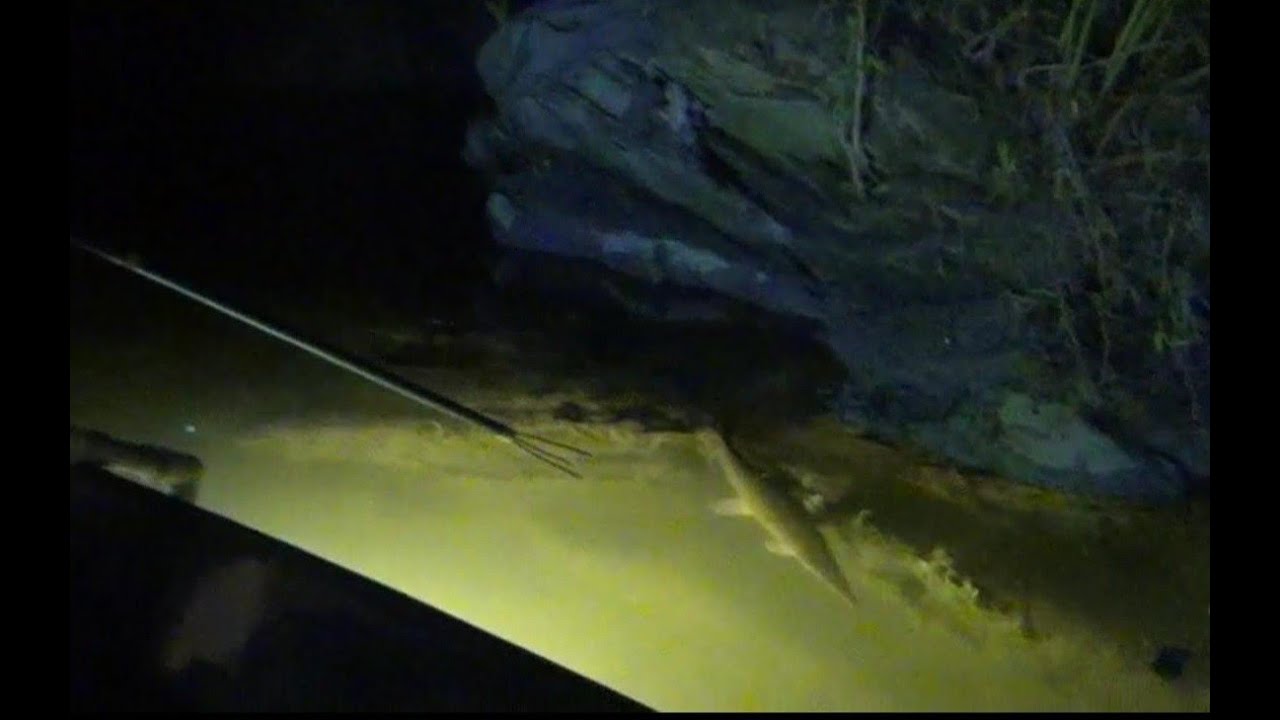adventures of aladdin SpearFishing Gar on the River TEXAS!