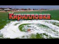 Кирилловка 2021. Отдых класса ЛЮКС! Вкусняшки. Банан ...