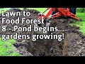 Sample Lawn Garden And
