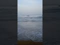 chennai Beautiful marina Beach ஆக்ரோஷமான அலைகள் ரசிக்க வைக்கும் கடல் #shorts #funny @sanas talent