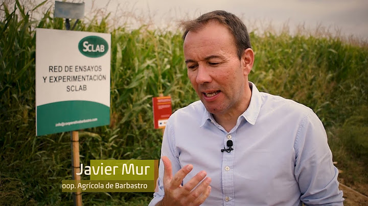 ENSAYO MAÍZ RASTROJERO - SCLAB / CTA GOBIERNO DE ARAGÓN Y RED ARAX