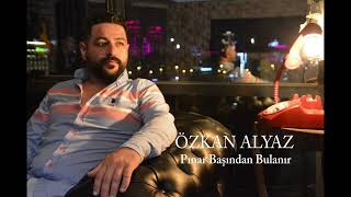 Özkan Alyaz - Pınar Başından Bulanır Resimi