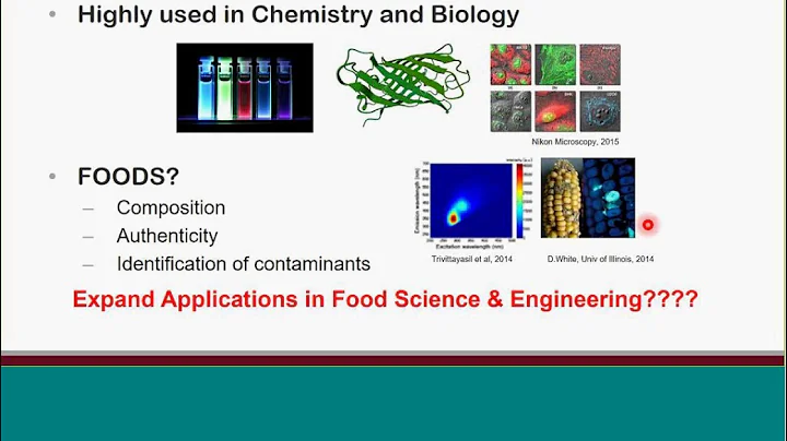 Optical Spectroscopic Approaches in Food Science a...