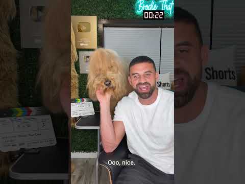 Create like never before with these five new features on Shorts 🎬