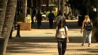 Full What will new Business Improvement District mean for Downtown Honolulu News