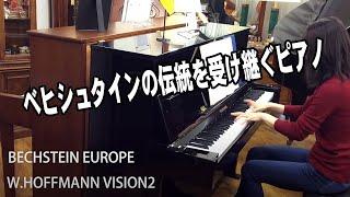 BECHSTEIN EUROPE W.HOFFMANN VISION2　ベヒシュタインヨーロッパ社　ホフマン　【親和楽器】