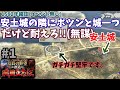 最強城1つVS織田軍15万！AIはどのくらい耐えれるのか検証！信長の野望創造戦国立志伝