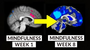 Onderzoek bewijst dat deze mindfulness-routine net zo effectief is als SSRI