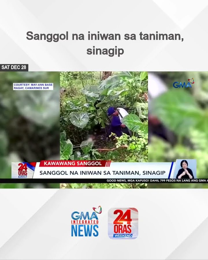 Sanggol na iniwan sa taniman, sinagip | 24 Oras Weekend