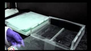 Mod-13 Lec-13 Gel-based Proteomics Two-dimensional electrophoresis(continued)