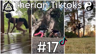 Therian Tiktoks #17 by quit 268,412 views 1 year ago 21 minutes