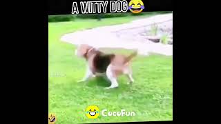 20220523  5772610757 Y 04