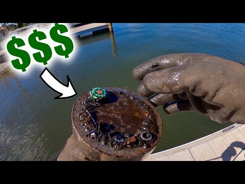 Magnet Fishing Florida's Richest Boat Ramp!