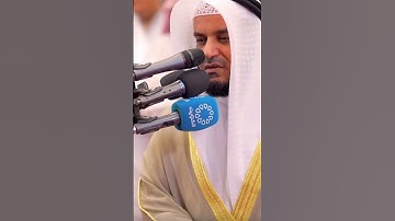 ايات توقظ النفوس و الأرواح من يرزقكم من السماء و الأرض اءله مع الله بصوت الشيخ مشارى من سورة النمل