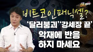 [머리플로우/통합본] 비트코인 6만달러 붕괴시 패닉셀 불가피? 