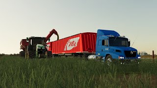 FS19 ARGENTINA (Timelapse) serie (SUR DE SANTA FE)#42- Trilla de maiz