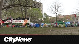 ProPalestinian encampment at Montreal's McGill expands on day 12