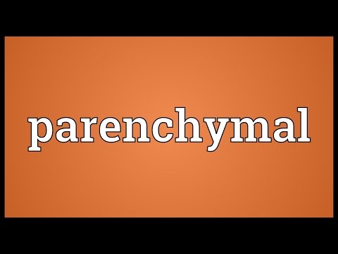 Parenchymal Meaning