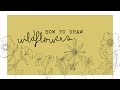 how to draw wildflowers