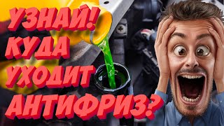 Куда и почему уходит антифриз? Топ-5 причин утечки антифриза!