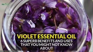 oil violet essential benefits