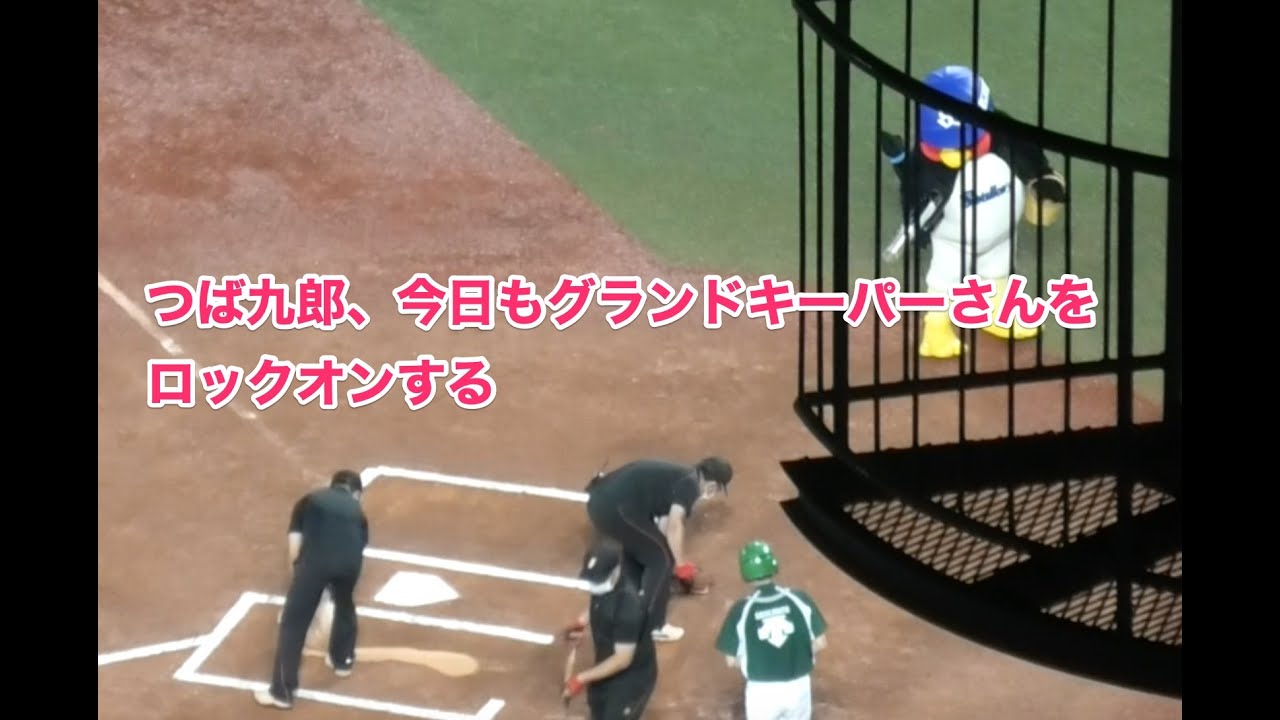つば九郎 今日もグランドキーパーさんをロックオンする Youtube