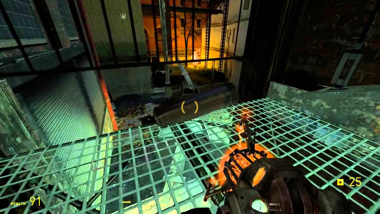 Half Life 2 Synergy Co-op with Skkyzelda - The Great Journey of D0G's ball