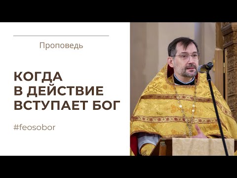 Чудо насыщения голодных. Проповедь протоиерея Димитрия Сизоненко