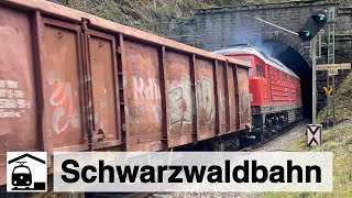 Ludmillas und Güterzüge auf der Schwarzwaldbahn + Übergabe Hausach