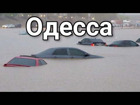 Видео: Релиз потопа обещан для DS