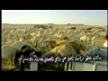 شيلة يانور عيني شيلة يانور عيني