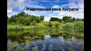 Природа Калининградской области| река Анграпа во всей своей красе| Гармония природы