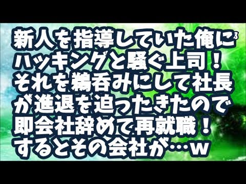 【スカッとする話】新人を指導していた俺にハッ●ングと騒ぐ上司！それを鵜呑みにして社長が進退を迫ったきたので即会社辞めて再就職！するとその会社が…ｗ