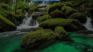 Advanced Database System | Logical Database Replication | PostgreSQL