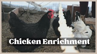 Popcorn Strings for our Chickens - Vlogmas 2023 by Wicked Life 263 views 4 months ago 7 minutes, 23 seconds