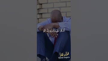أشكو بثي وحزني إلى الله #سورة_يوسف #القرآن_الكريم #مشاري_العفاسي #اكسبلور #راحة_نفسية #لايك #تلاوات