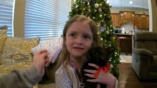 Violet's Christmas Surprise
