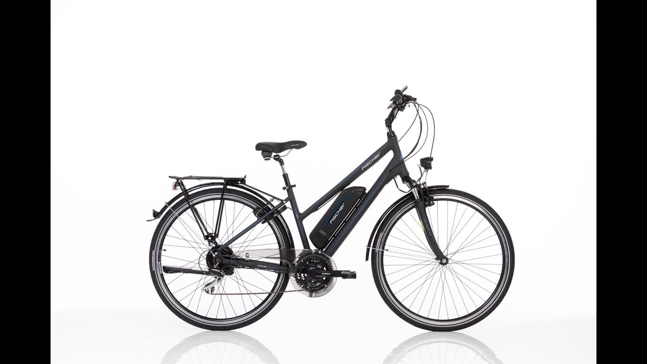 klapprad leicht günstig E-Bike Ipanema inkl. Tragetasche im Onlineshop kaufen — Ride1Up Prodigy V2 Fahrradfahren mit Hund | Farbe:Granit