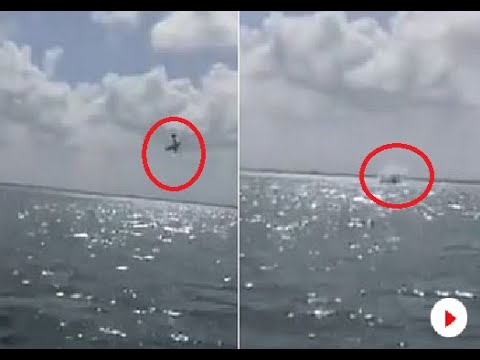 Two pilots killed in horror plane crash as gender reveal stunt goes wrong over sea
