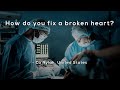 How do you fix a broken heart?