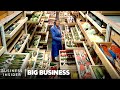 Why 99% Of Smithsonian's Specimens Are Hidden In High-Security | Big Business