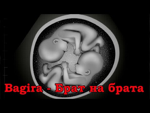 Bagira - Брат на брата / Bagira - Brother against brother (текст/lyrics)